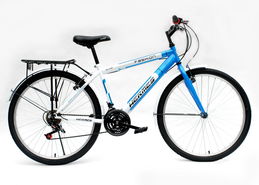 麥?zhǔn)邢蜿?yáng)自行車