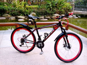 自行車尺寸解讀 XS、S、M、L 的意義及其在電動自行車制造中的應用